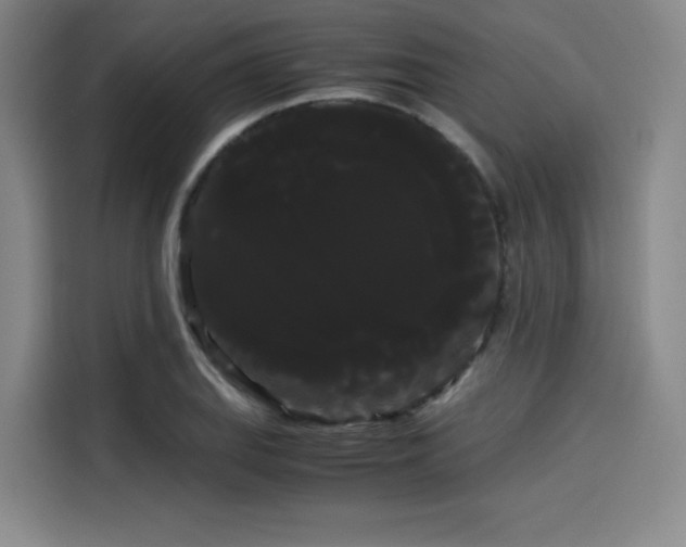 X0000114191127200910161158