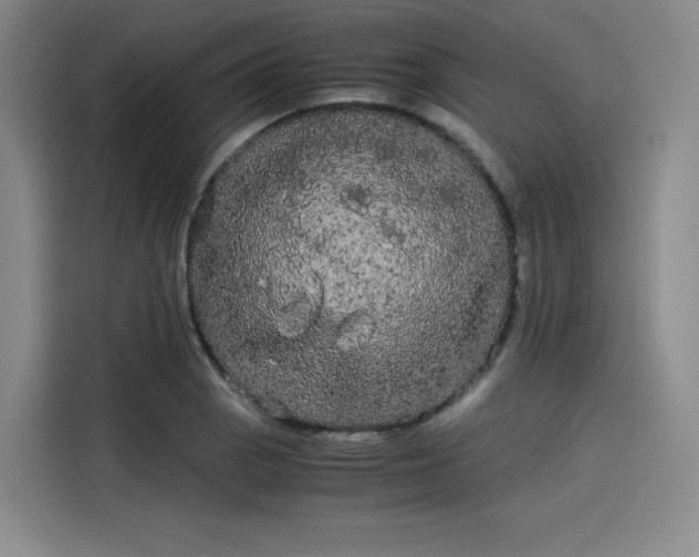 X0000114191129200910161158