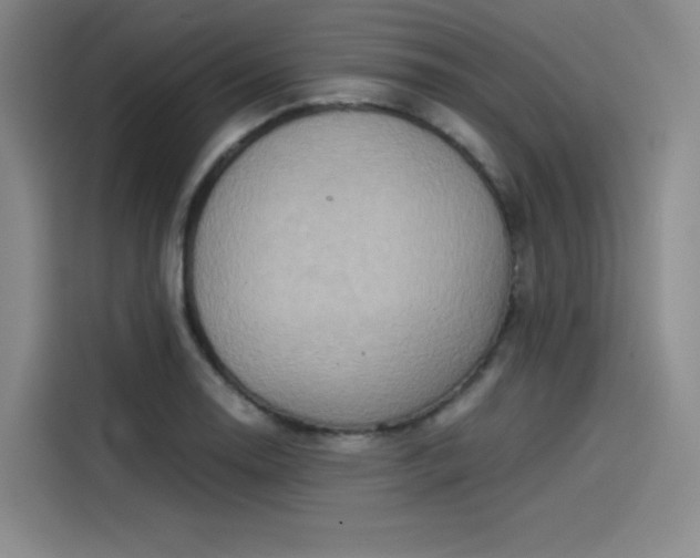 X0000114191130200910161158