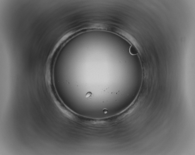 X0000114191131200910161158
