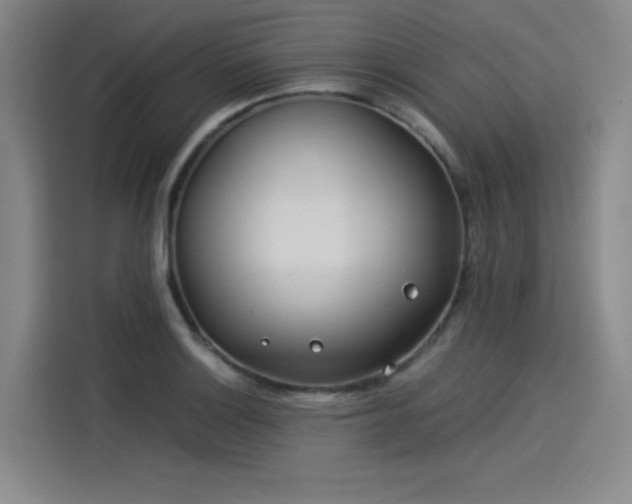 X0000114191132200910161158