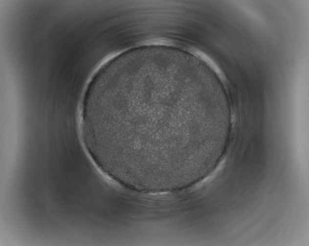 X0000114191133200910161159