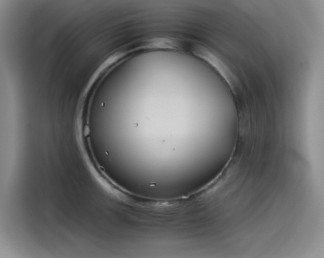X0000114191139200910161159