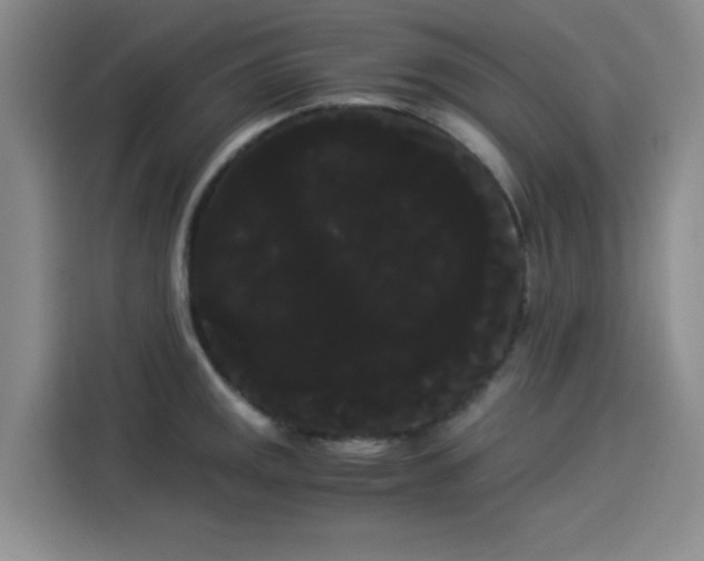 X0000114191141200910161159