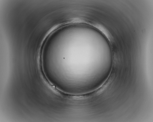 X0000114191142200910161159