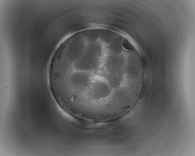 X0000114191143200910161159