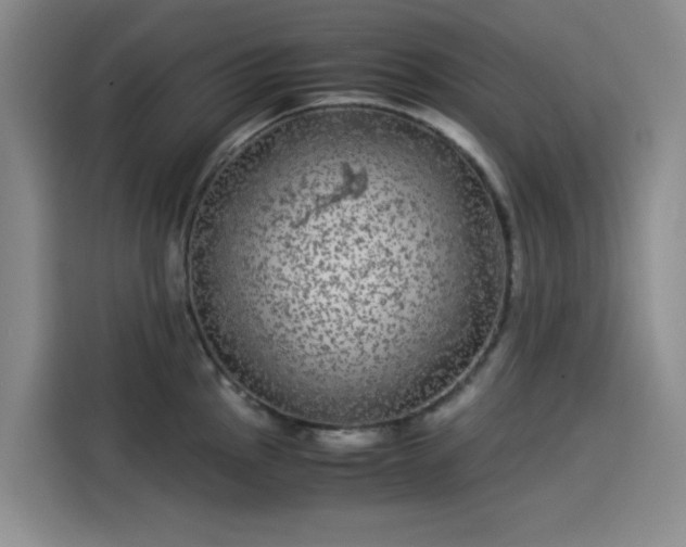 X0000114191145200910161159