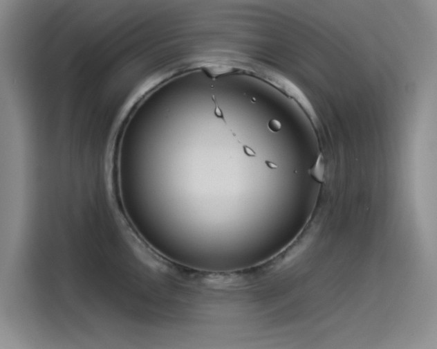 X0000114191146200910161159