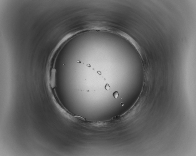 X0000114191147200910161159