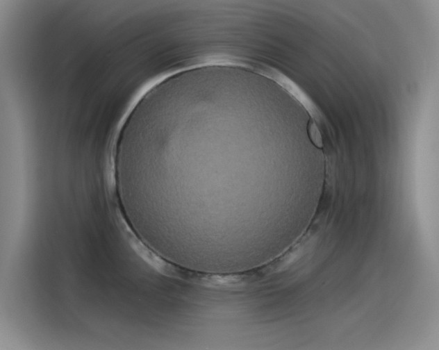 X0000114191148200910161159