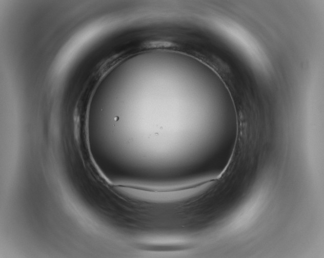 X0000114191151200910161159