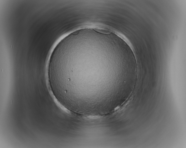 X0000114191152200910161159