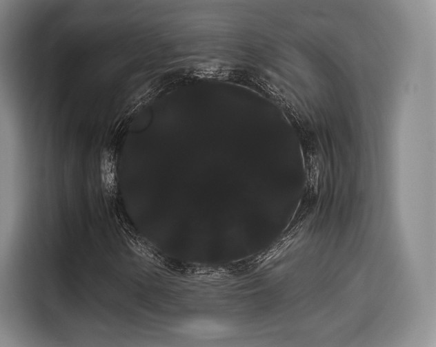 X0000114191154200910161158