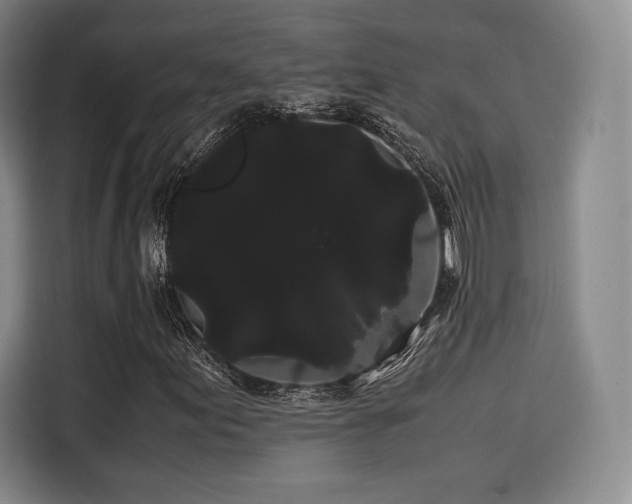 X0000114191155200910161158