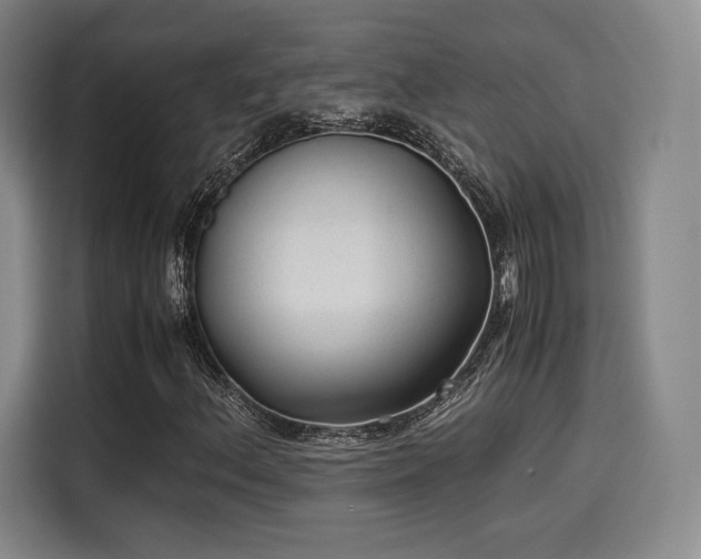 X0000114191156200910161158