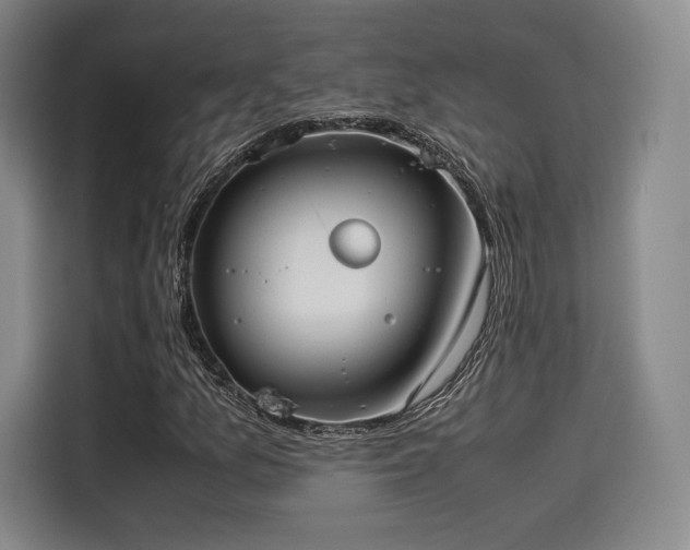 X0000114191157200910161158