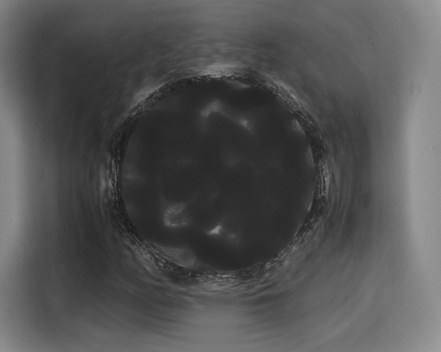 X0000114191158200910161158