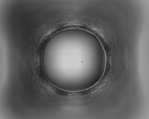X0000114191159200910161158