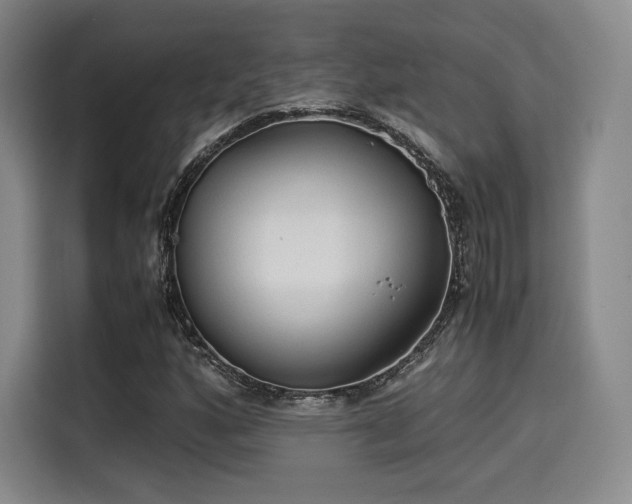 X0000114191160200910161158