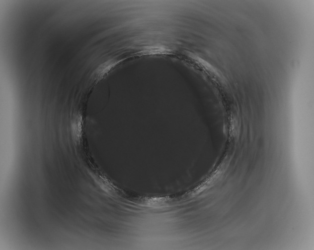 X0000114191161200910161158