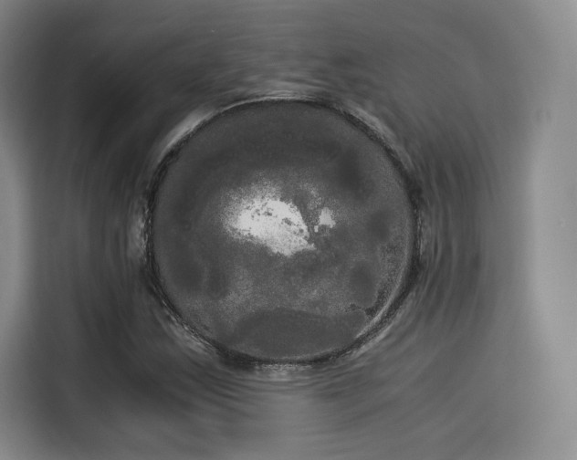 X0000114191163200910161158
