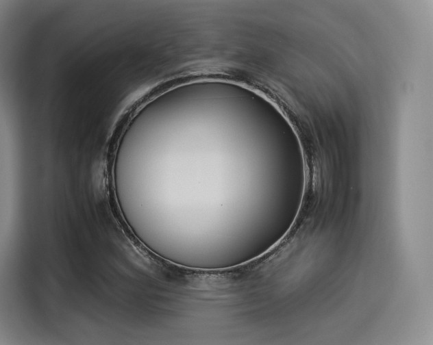 X0000114191164200910161158