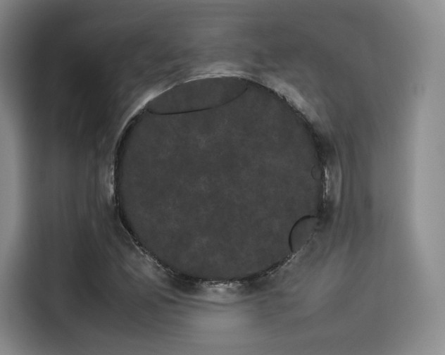 X0000114191165200910161158
