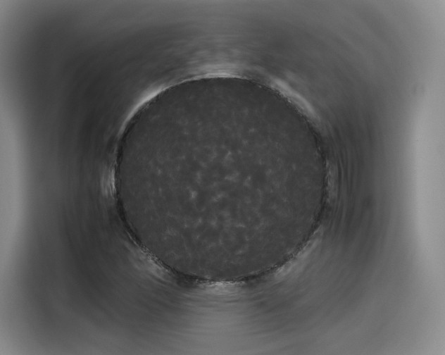 X0000114191166200910161158