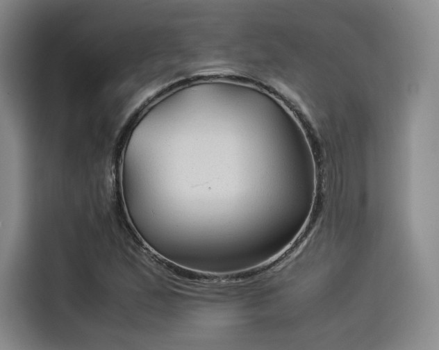 X0000114191167200910161158