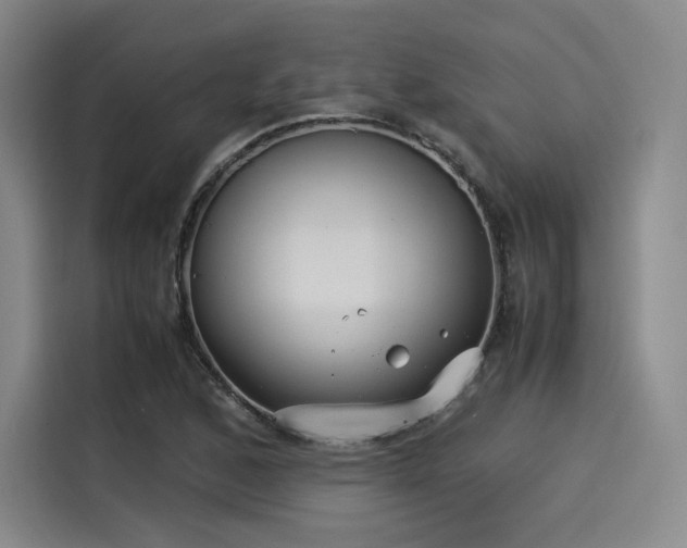 X0000114191168200910161158