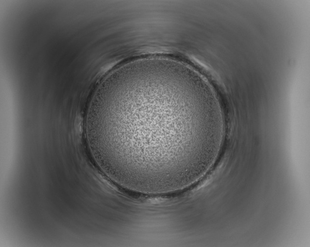X0000114191169200910161158