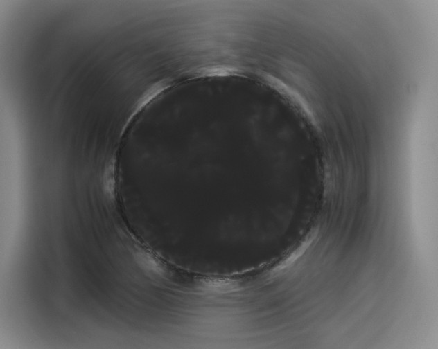 X0000114191170200910161158