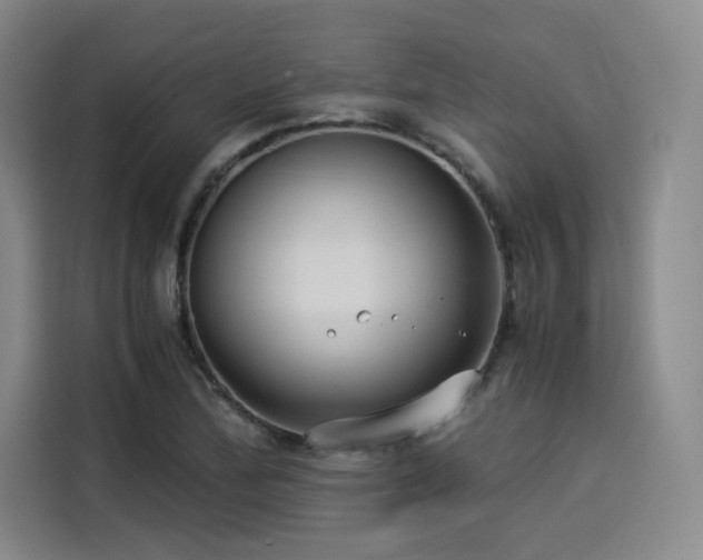 X0000114191172200910161158