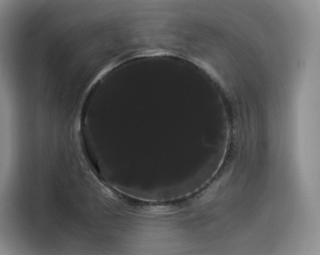 X0000114191173200910161158