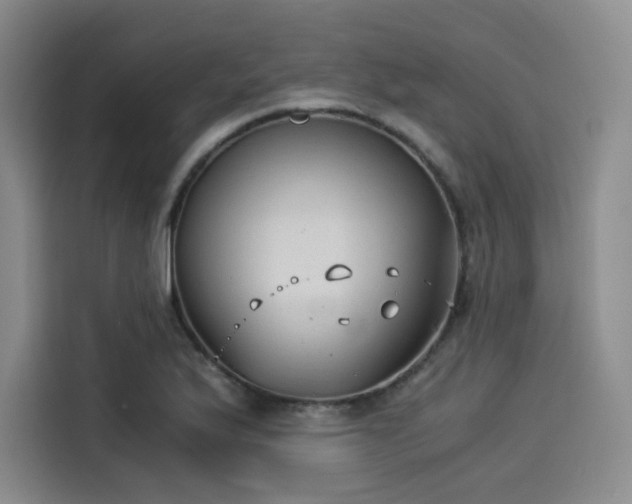 X0000114191175200910161158