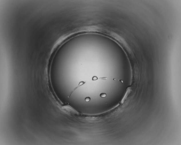 X0000114191176200910161158