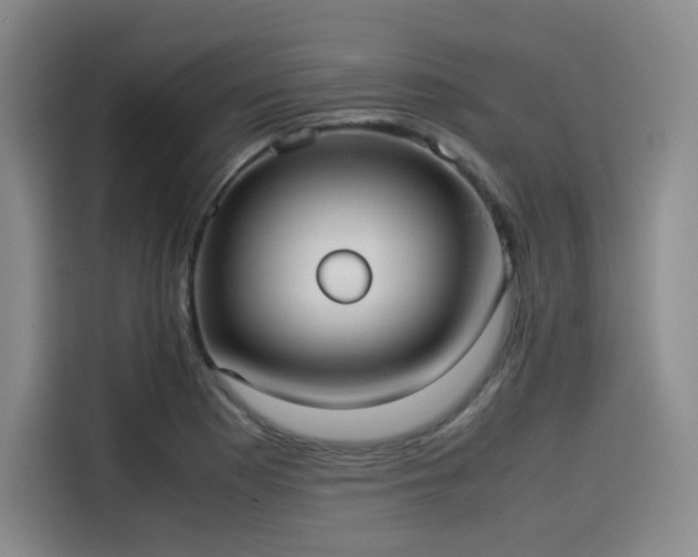 X0000114191177200910161158
