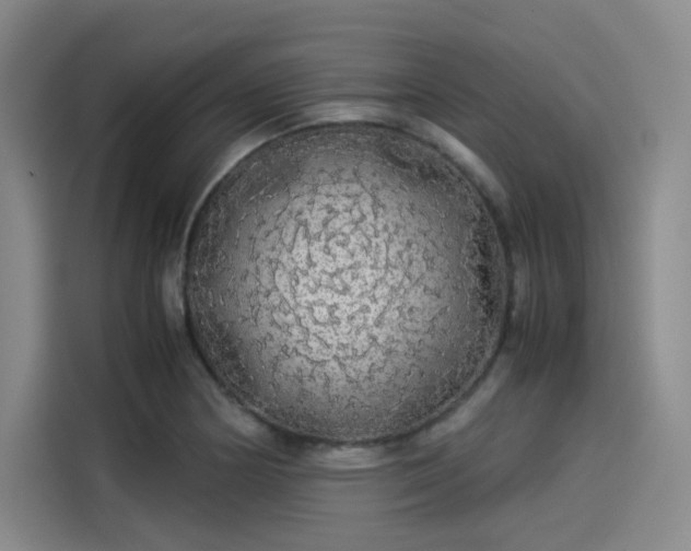 X0000114191178200910161158