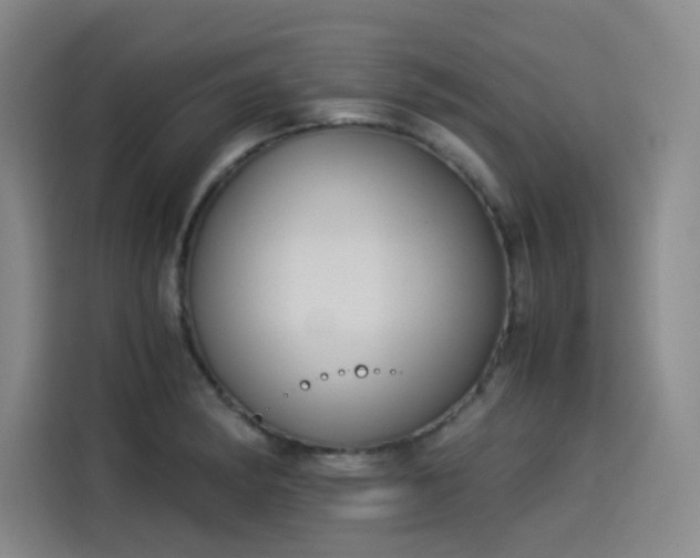 X0000114191182200910161158