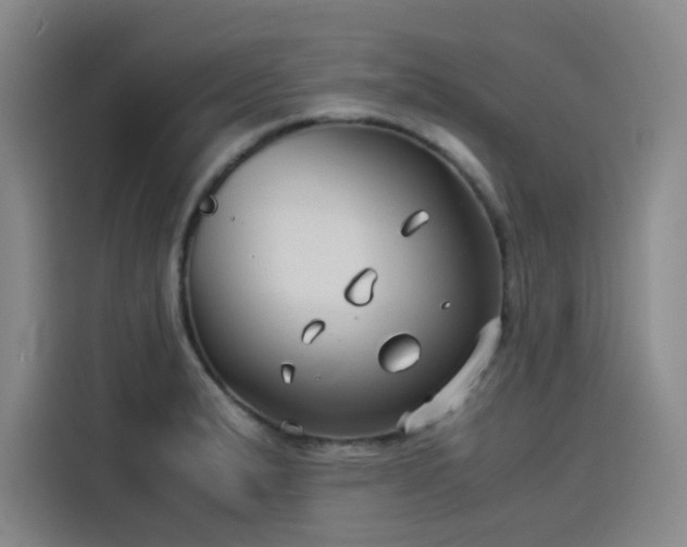X0000114191183200910161158