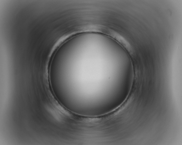 X0000114191184200910161158