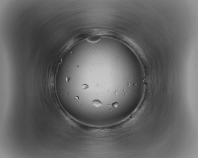 X0000114191185200910161158