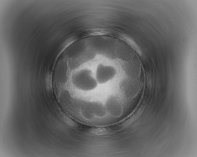 X0000114191186200910161158