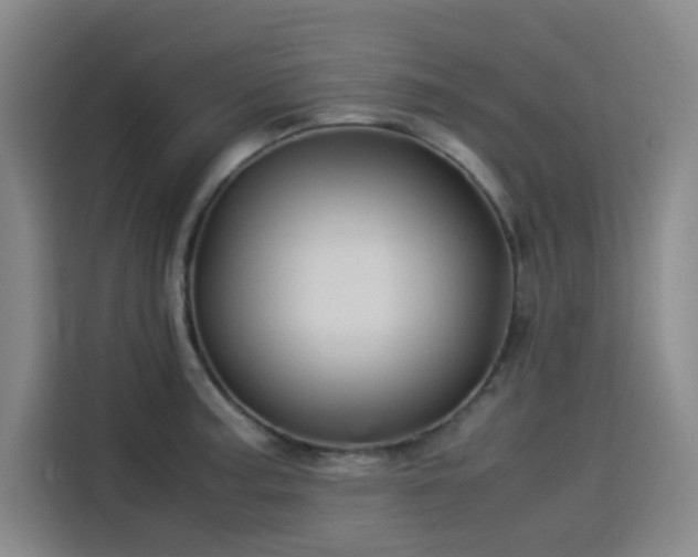 X0000114191187200910161158
