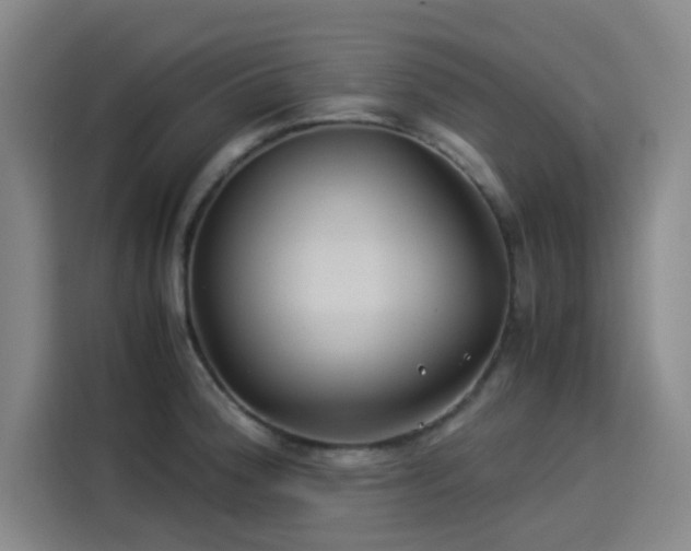 X0000114191188200910161158