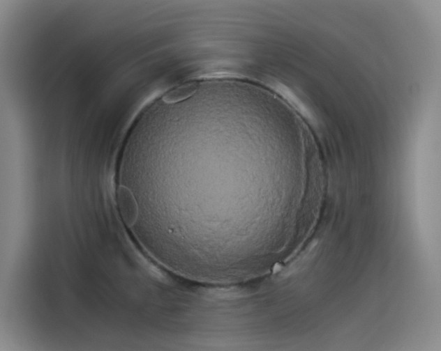 X0000114191189200910161158