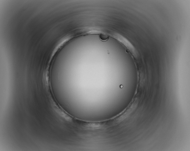 X0000114191190200910161158
