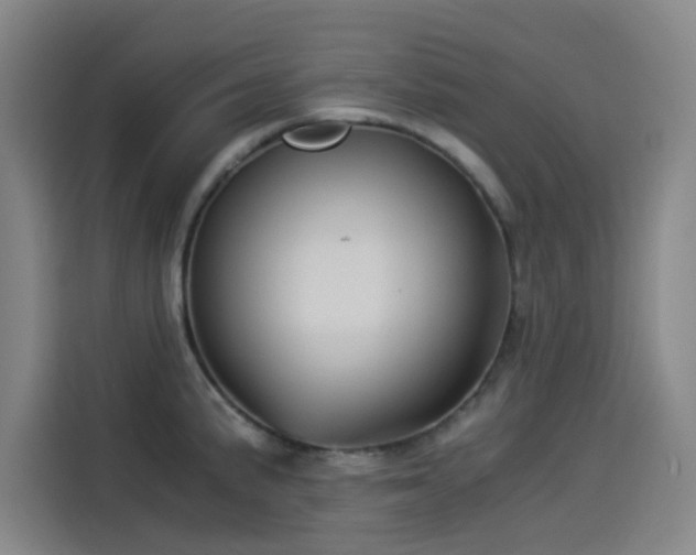 X0000114191191200910161158