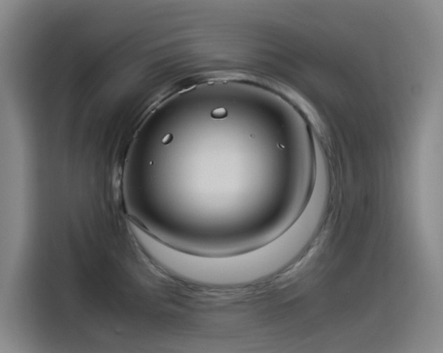 X0000114191193200910161158