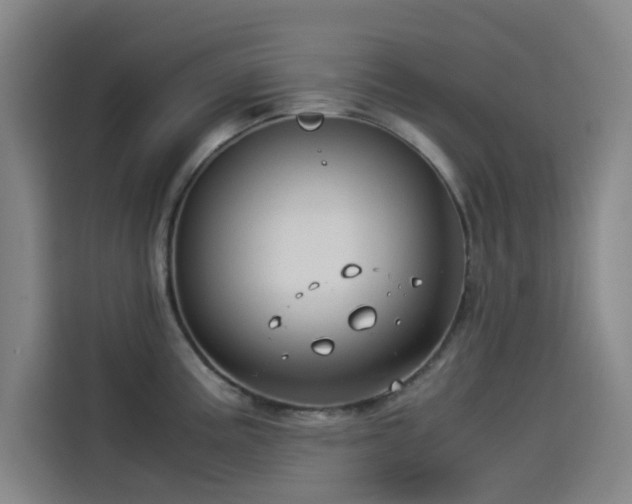 X0000114191195200910161158